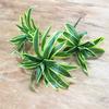 Green 3 Fork Palm Tree  Bunch Christmas Flower Material Home Decor Artificial Plants Desktop Decorations Fake Plants