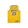 NBA Youth Los Angeles Lakers LeBron 23 Повседневный спортивный костюм Детские костюмы Желтый 3Z2B7BZ2P-LAKJL