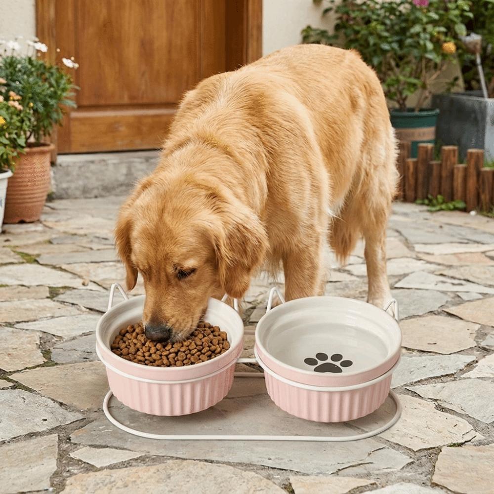 Non-Slip Elevated Cat Double Bowls Prevent Tipping Cat Water Bowls Ceramic Cat Bowls Dog Feeder