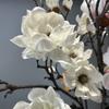 Handmade Simulation Big Magnolia Real Touch Fake Flower Artificial Magnolia Branch  Teacher's Day