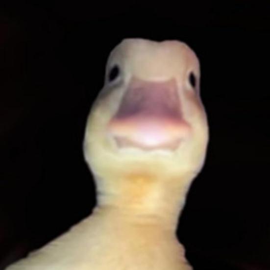 Wall Flag Creative Welcome To My Crib Flag Durable Easy Installation Wall Hanging Banner for Home Decoration