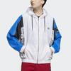 adidas Толстовка с капюшоном Originals x Disney Manga WB Pattern HD9078