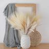 1PC Fluffy Pompas Grass Pampas Grass Decor Dreid Flowers Vase Filler Pampas Wedding Boho Deocr Flowers Home Table Decor, Rustic Farmhouse