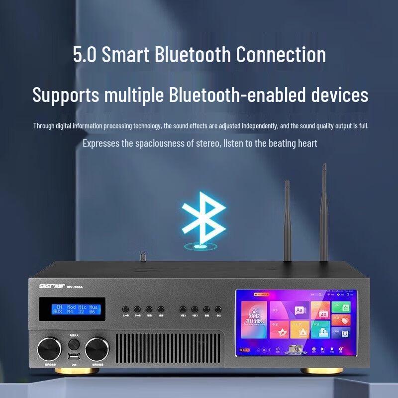 SAST Professional 12-inch All-in-One Home Karaoke System CN plug (adapter included)