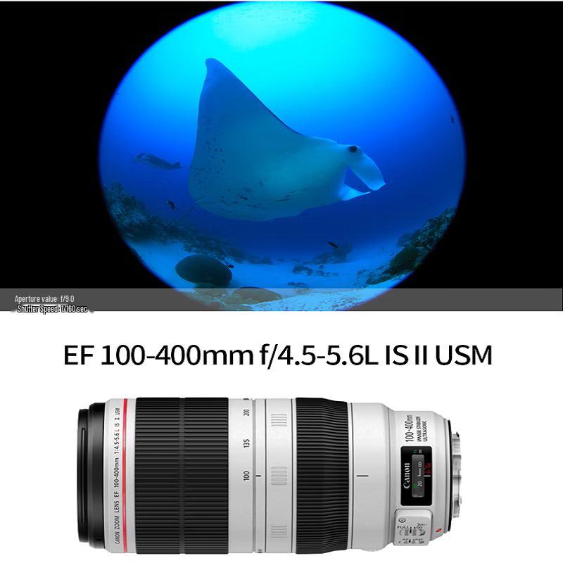Canon Телеобъектив Canon EF 100-400mm f/4.5-5.6L IS II USM