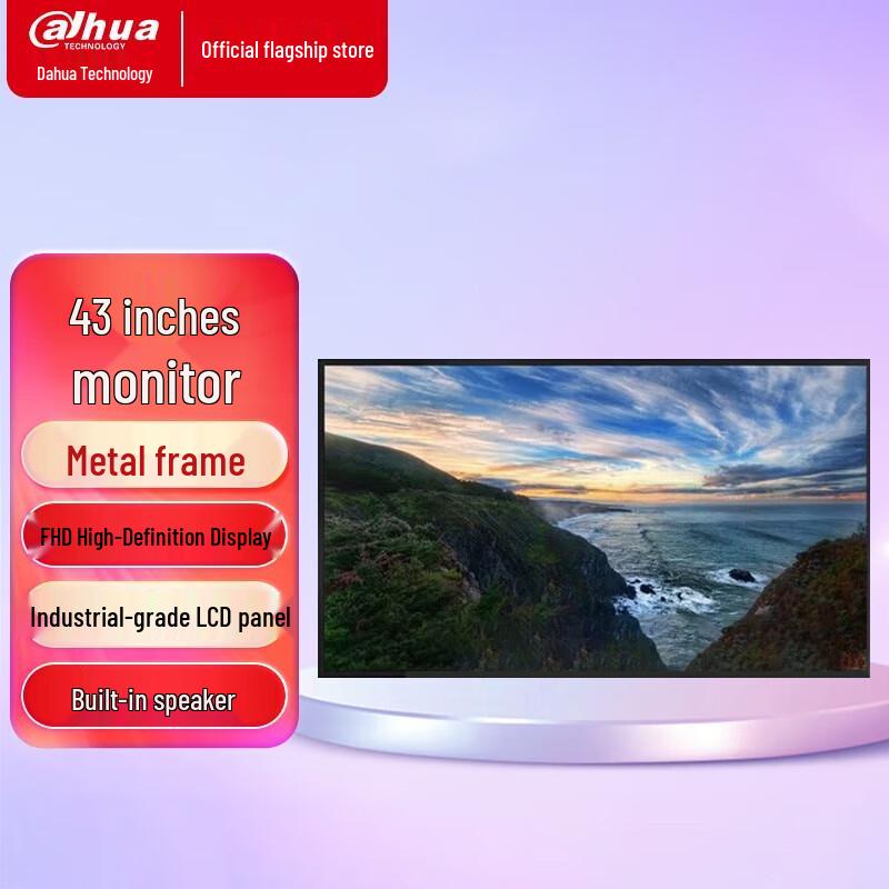 Dahua Professional LED LCD Surveillance Monitor