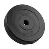 Bituminous Load Set 4X5Kg 20Kg Hole 31Mm Classic Plate Rebel