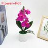 Faux Butterfly Orchid Plant With Plush Material Wedding Decor Props Photography