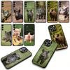 Wild Boar Pig Phone Cover for Samsung Galaxy A36 A17 A26 A07 A35 A54 A53 A13 A33 A34 S8 S9 S20 S21 FE S10 Plus Case