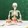 Halloween Skeleton Full Body Skeleton Skull with Movable Joints Haunted House Decoration Scary Atmosphere Enhancer for Halloween Parties Bars