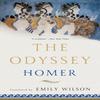 The Odyssey by Homer Paperback Book 9780393356250