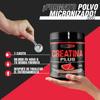Healthy Fusion Creatine Monohydrate Powder | No Additives | Promotes Muscle Growth and Increases Physical Performance | 300g Watermelon Flavor