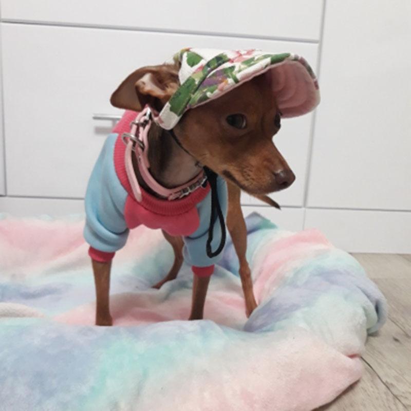 Бейсбольная кепка для собак, регулируемая бейсбольная кепка для спорта на открытом воздухе, защита от солнца для собак, козырек от солнца, наряд для щенка, маленькой собаки, домашнего животного, кошки