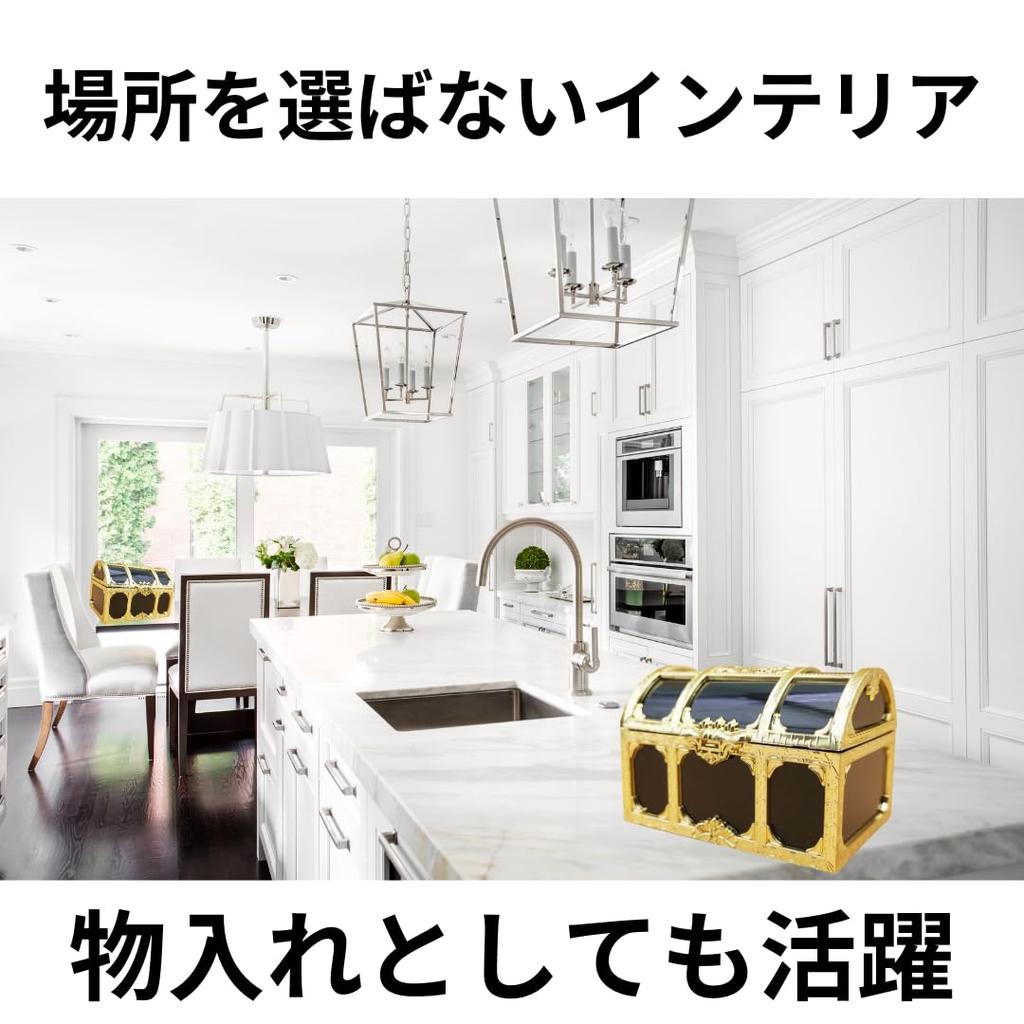 EINEY Treasure Antique Pirate Treasure Treasure Gold Accessory Jewelry Set of Photography Accessories Box, Box, Box, Coin, Coin, Case,