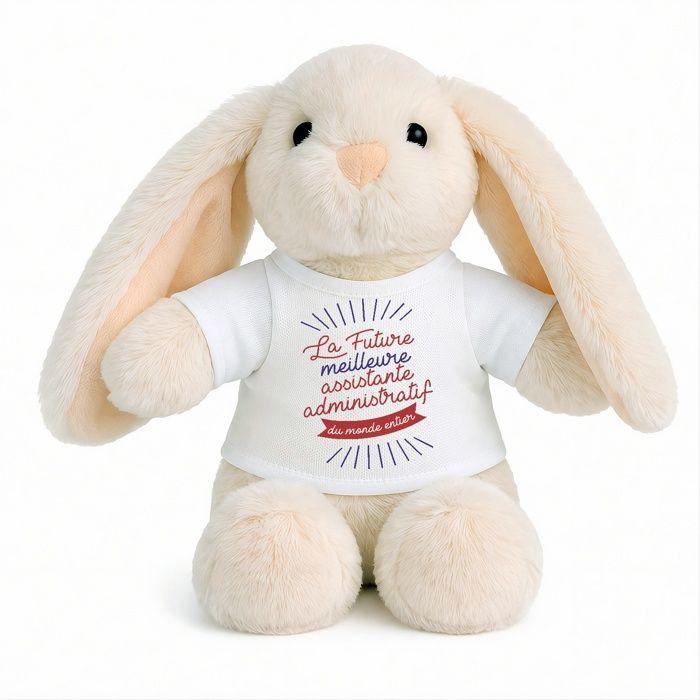 Planetee Peluche Lapin Bébé Doudou Future meilleure Assistante Administratif Cadeau Naissance Fille Nouveau-Né Baby Shower