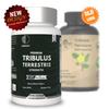 Капсулы Tribulus Terrestris 1000 мг – Экстракт Гокшуры, Растительная травяная добавка