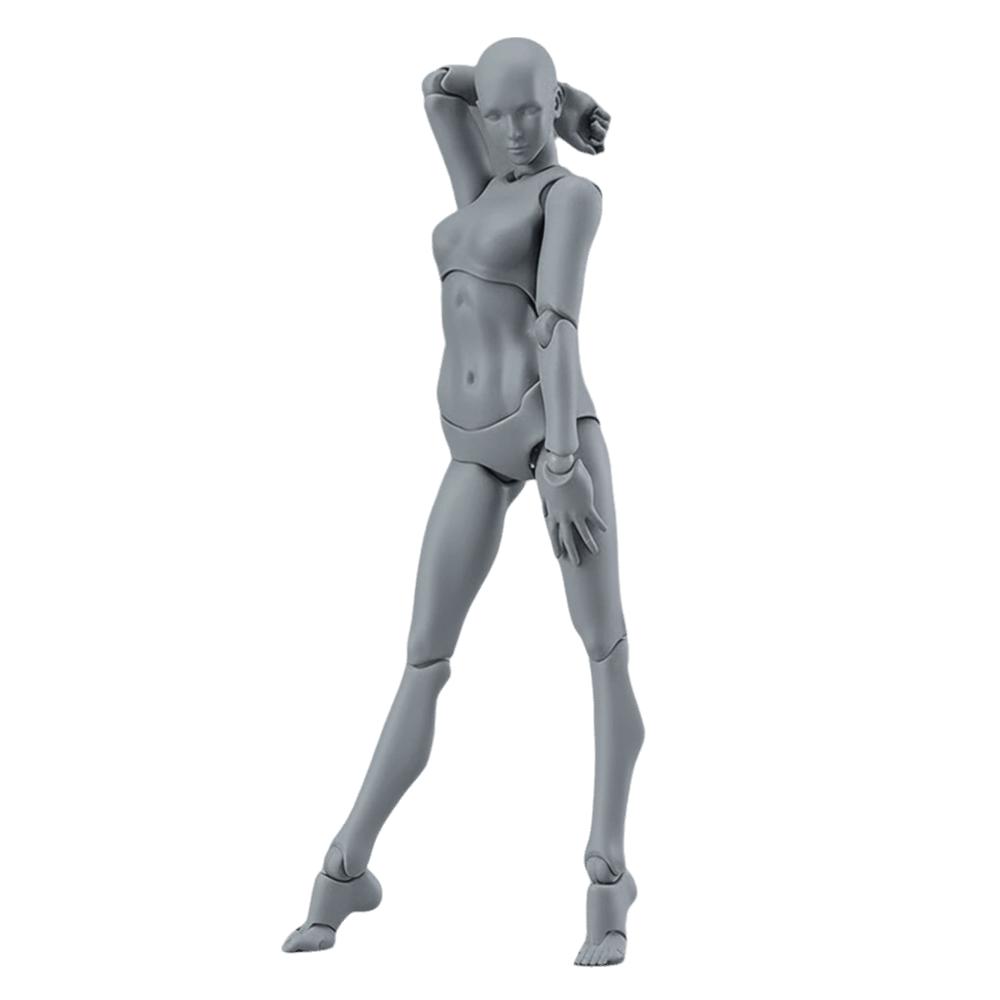 Movable Joints Sketch Drawing Model Male Female Action Figure Model Model Ornaments