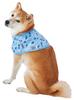 Petio Dog Wear for Walking Cool Poncho M Size