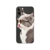 Крутой чехол для телефона с очками Cat для iPhone 5 5S 2020se 6 6s 7 8 plus x 10 XR XS 11 12 13 mini pro MAX, черная задняя крышка из ТПУ