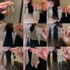 European and American Silver Needle Zircon Fringed Earrings Light Luxury High-end Atmospheric Earrings Niche Earrings Women