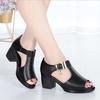 New Fish Mouth Mid-heel Soft-sole Hollow Waterproof Platform Comfortable and Fashionable Thick Heels