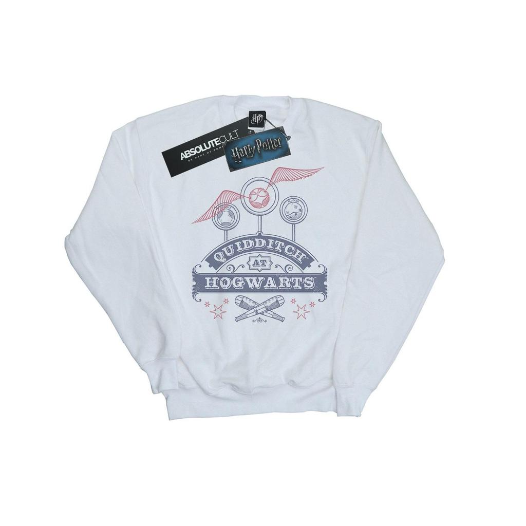 Harry Potter Mens Quidditch At Hogwarts Sweatshirt