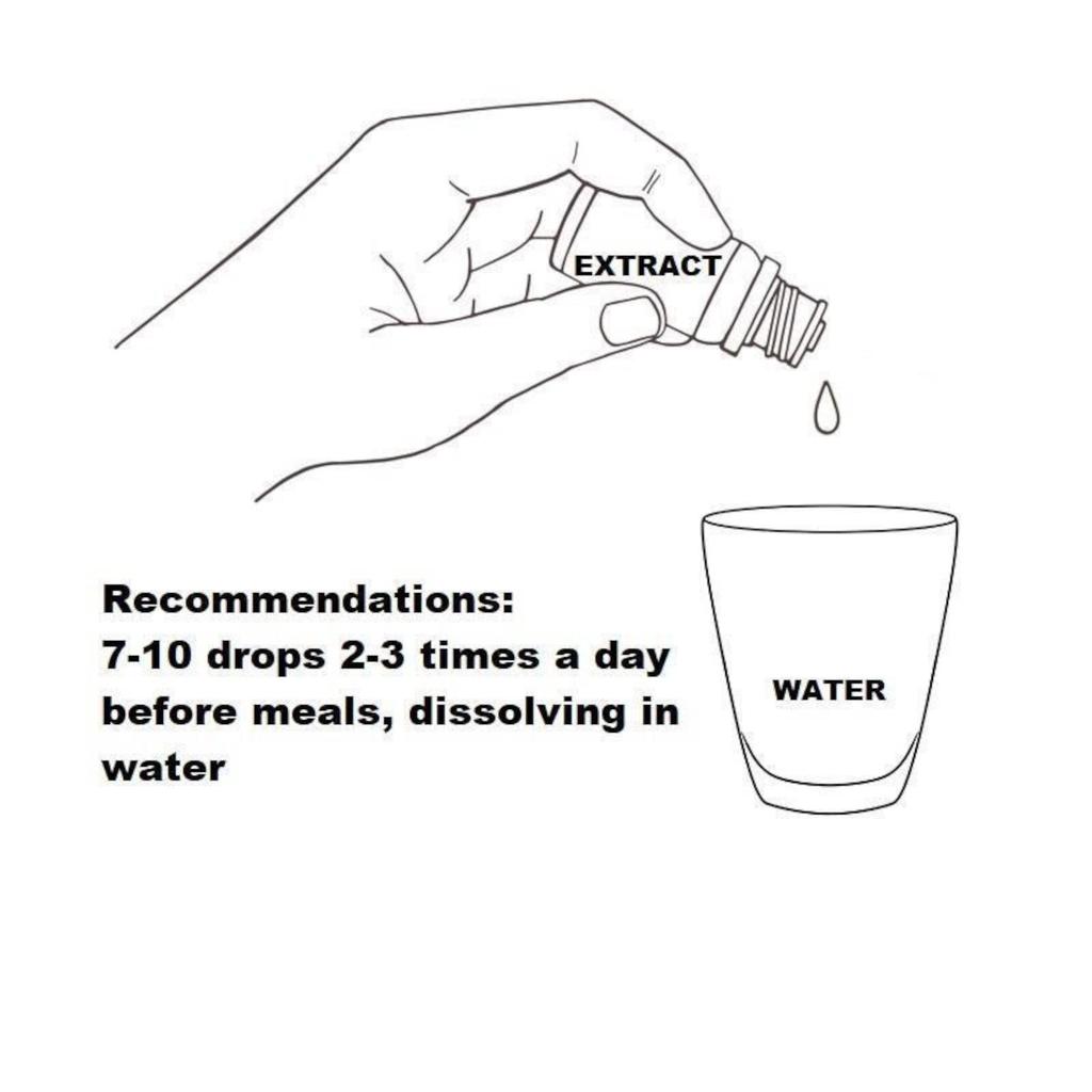 Birch Buds Extract Tincture Herbal Liquid Supplement Dietary New Life