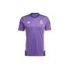 Colorblock Striped Logo Print V-Neck Short Sleeve Soccer Jersey Men Tops Purple HT8809