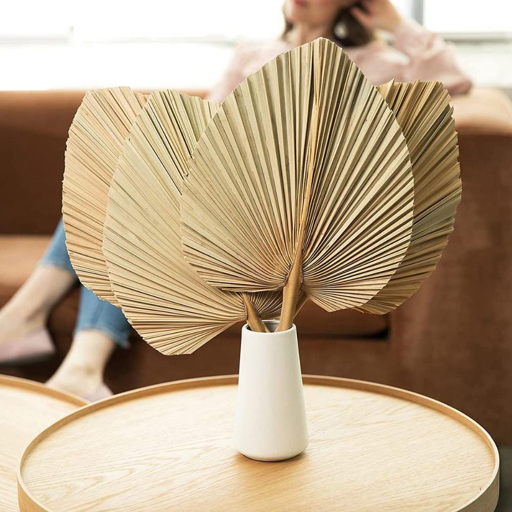 Wedding Decor Decoration Boho Bohemian Trimmed Natural Fan Leaf Palm Spears Leaves Dried Plant