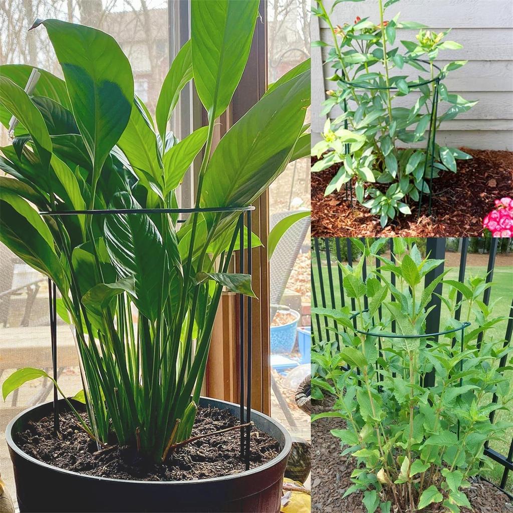 Кронштейн для цветка, сращивание, полукруг, опора для вьющихся растений, орхидея, вьющийся цветок перголы