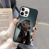 Черный лабрадор-ретривер Животное Собака Чехол для телефона для iPhone 17 Air 16 16e 15 Plus для Apple 13 11 12 14 Pro Max Чехол