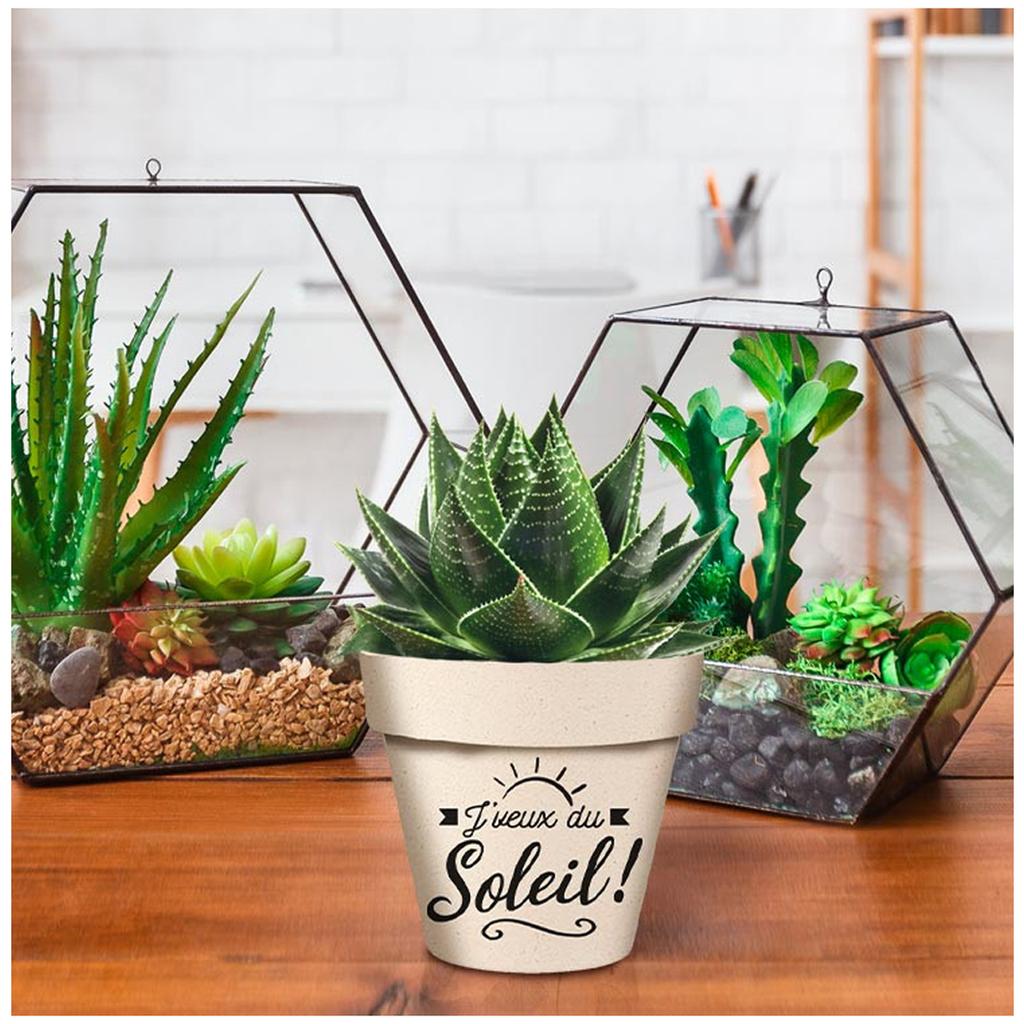 Les Trésors De Lily [R6626] - Bamboo Planter 'Messages' Black Beige (Little Piece of Heaven ! ) -  14x12cm