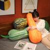 Cartoon Simulation Vegetable Pumpkin Throw Pillow Plush Toy Doll Big Pumpkin Doll Girl Company Soothing Doll