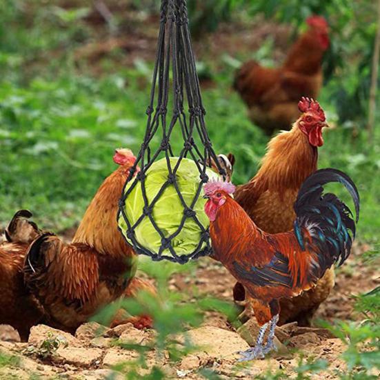 4Pcs Net Bag Chicken Vegetable Hanging Feeder Healthy Feeding Even Mesh Simple Installation Chicken Vegetable Feeder
