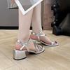 Exquisite and Beautiful Fairy Style High-end Thick-heeled Sandals Female 2025 New Fashion Versatile Skirt Women's Sandals