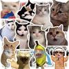 100 Pcs Cute Cat Stickers for Kids Boys Girls Waterproof Cat Meme Decals for Laptop Skateboard Luggage Car Bumper Water Bottle Decor