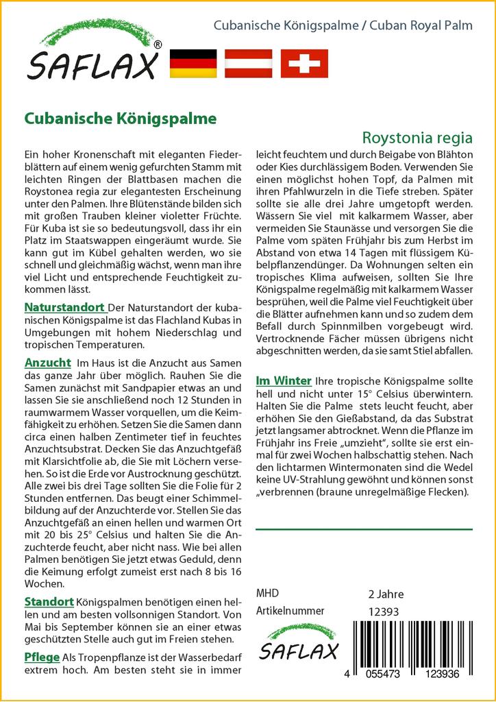 SAFLAX Cuban Royal Palm - 8 семян - С горшечным субстратом для лучшего выращивания - Roystonia regia