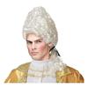Perruque Haute Blanche Homme Marquis