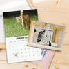 2026 Cat Buttholes Calendar 2026 Funny Cat 12 Monthly Wall Calendar Jan To Dec High-Definition Cat Photography
