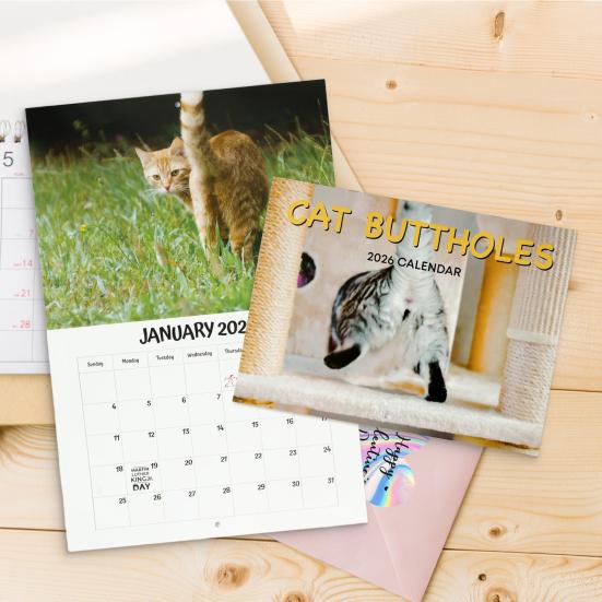 2026 Cat Buttholes Calendar 2026 Funny Cat 12 Monthly Wall Calendar Jan To Dec High-Definition Cat Photography