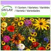 Easy Care Children's Garden Mix - 1000 Seeds - 11 Wildflower Mix
