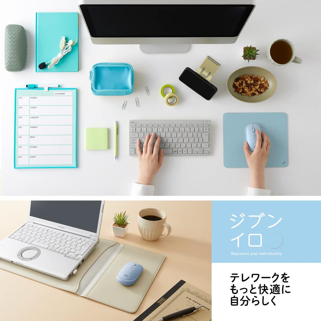 PLUS Mouse Jibuniro Thin Holder Hakobi Mouse Blue TW-MO001 428-832