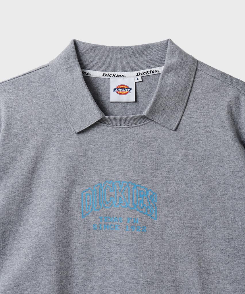 Dickies Тяжелый трикотаж Свободный с круглым вырезом Серый