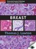 The Breast Book