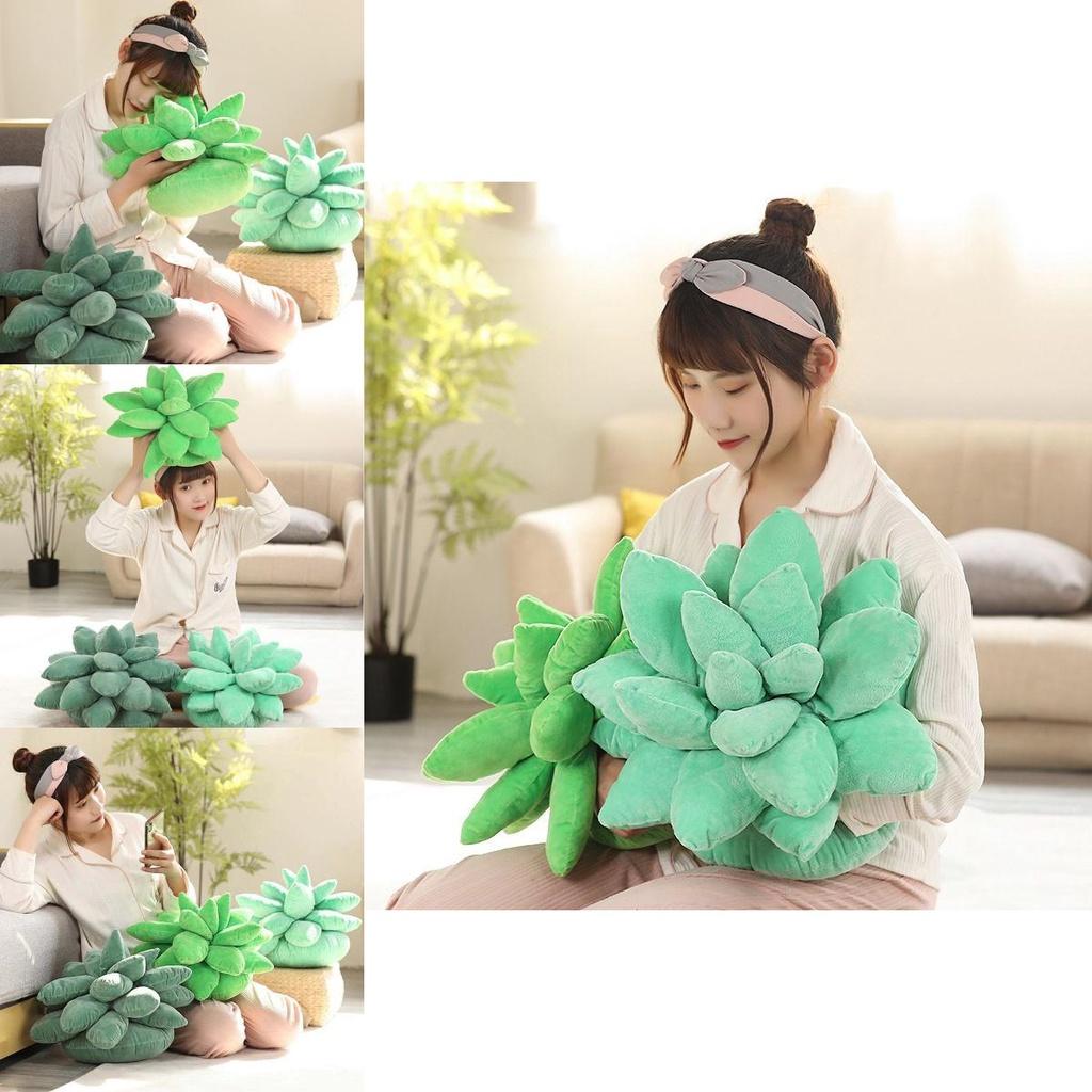 Charming Succulent Plant Stuffed Toys With Realistic Expressions For Kids Gifts