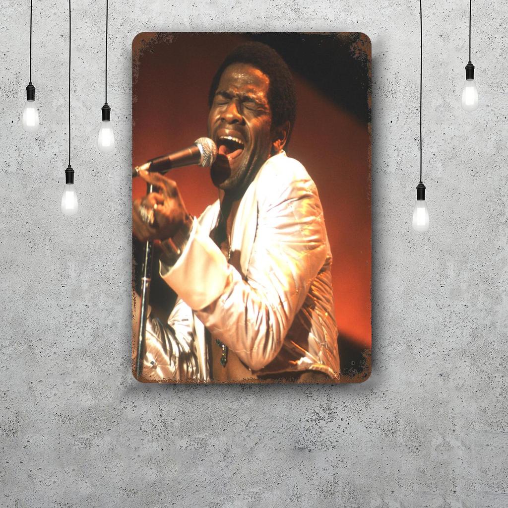 Al Green Funny Bar Metal Sign Retro Plaque Vintage Sign Alcohol Drinker Pub Club Man Cave Kitchen Wall Decoration
