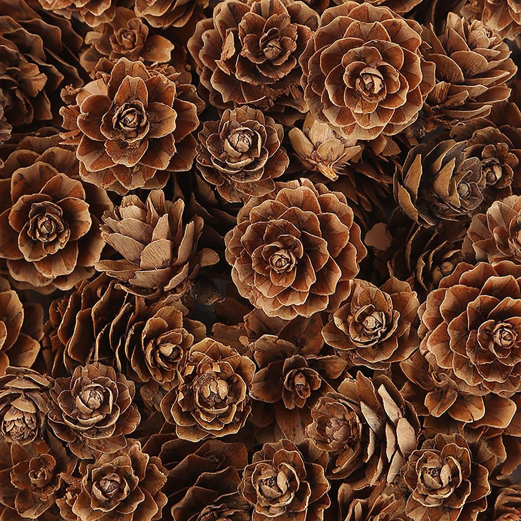 30 шт., натуральный цвет C, 2–2,36 дюйма, рождественские деревенские шишки, осенняя гирлянда, украшения на Хэллоуин, День благодарения, осенние украшения на рождественскую елку