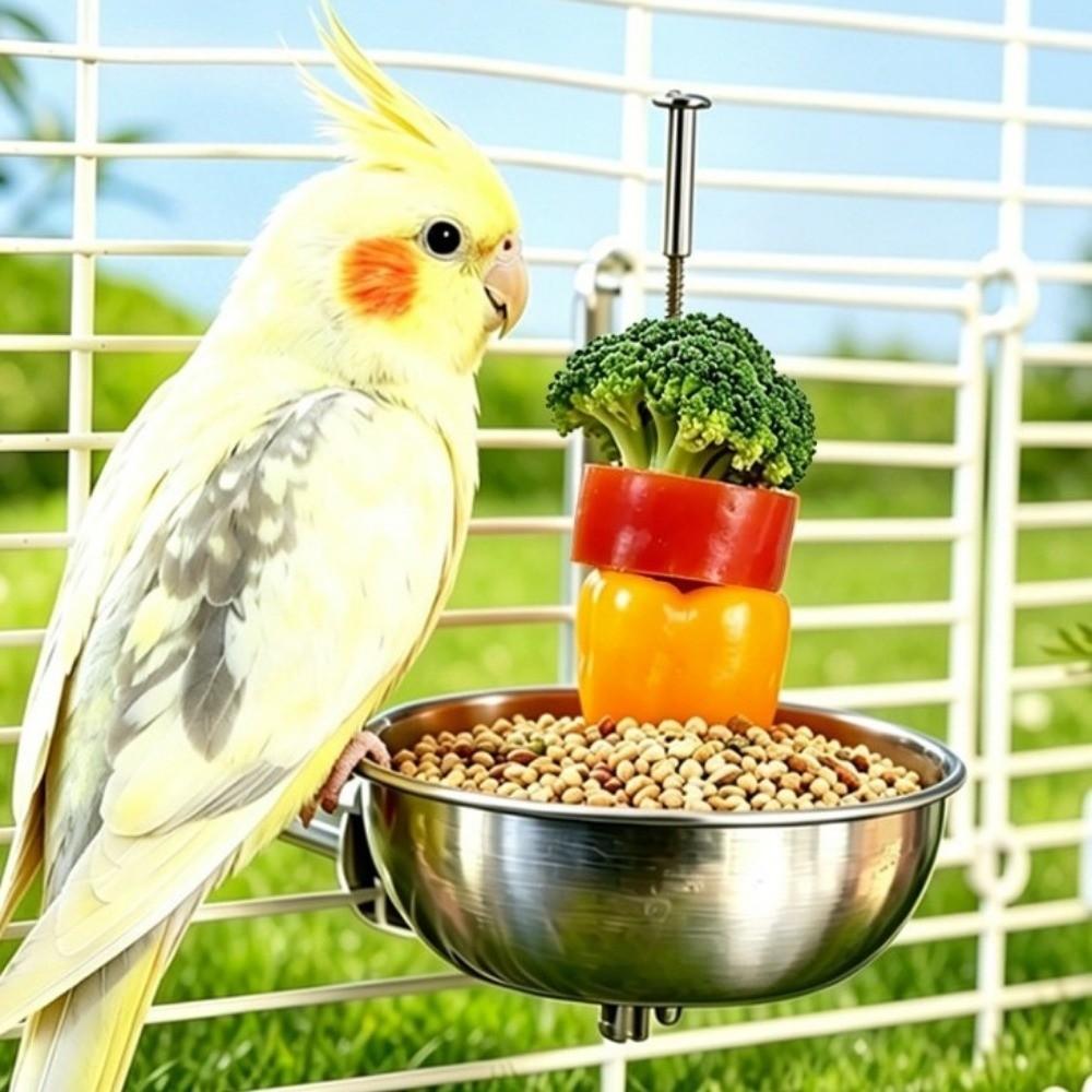 Stainless Steel Parrot Feeder Splash-Proof Vegetable Skewer Bird Food Holder  Bird Supplies