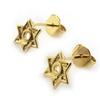 [N1701] - Gold Plated 'Star of David' Earrings - 7 Mm
