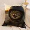 dogs cats cute funny gift Cushion Cover Silky Short Plush Invisible Zipper Dustproof Sofa Pillow Case for Home Decor